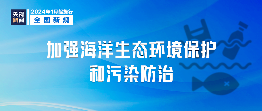 新澳2024-2025正版免费资料,最佳精选解释落实