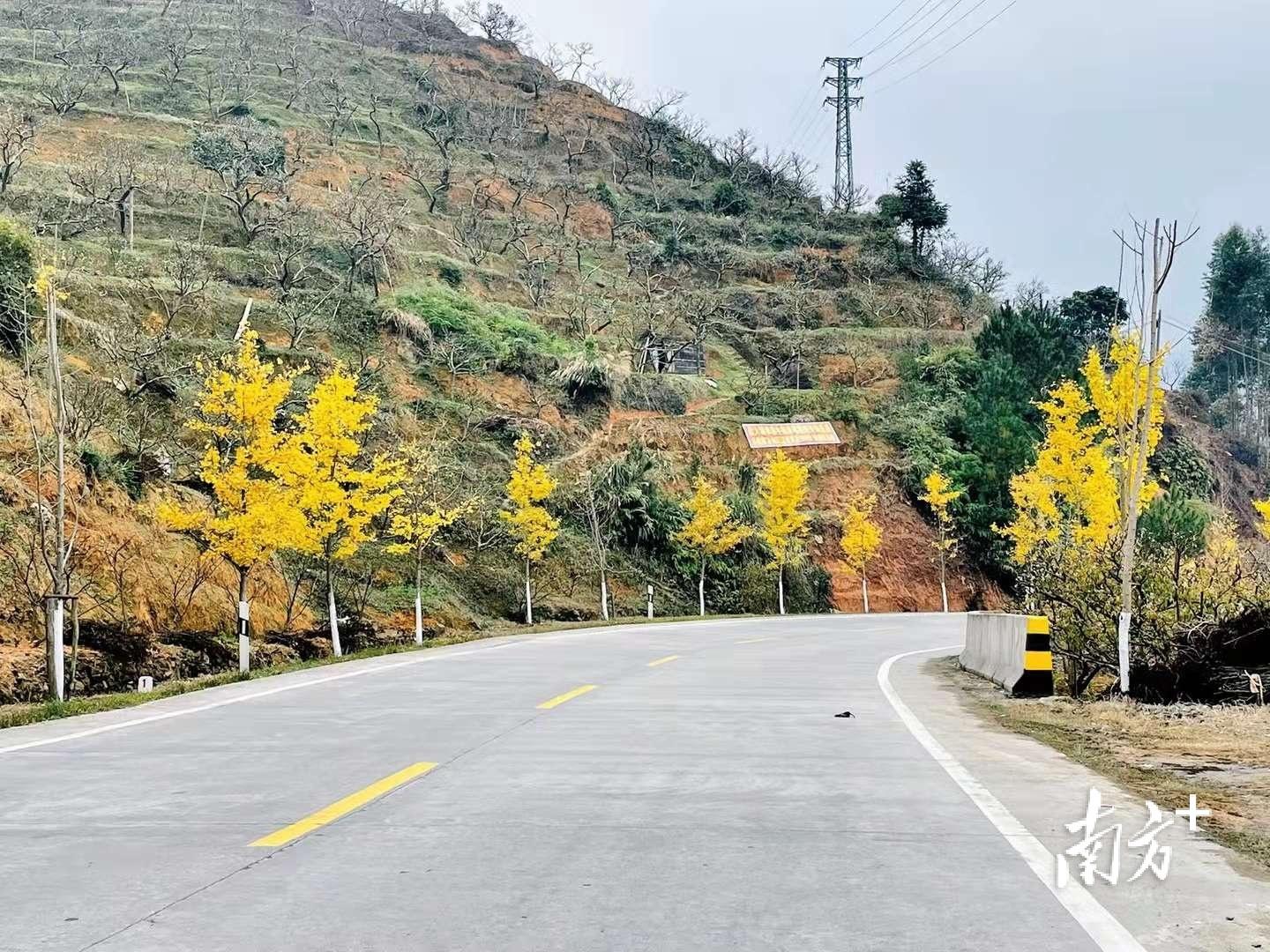 钱排最新国道，连接繁荣与未来的纽带