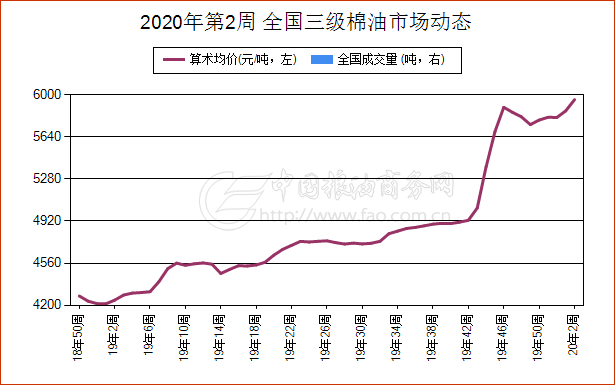 棉子最新价格动态分析