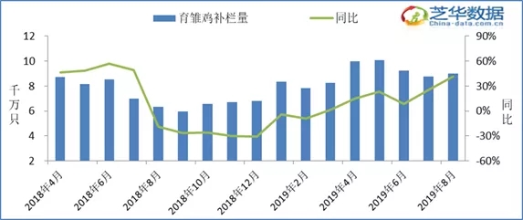 最新鸡蛋价格预测，趋势分析与展望