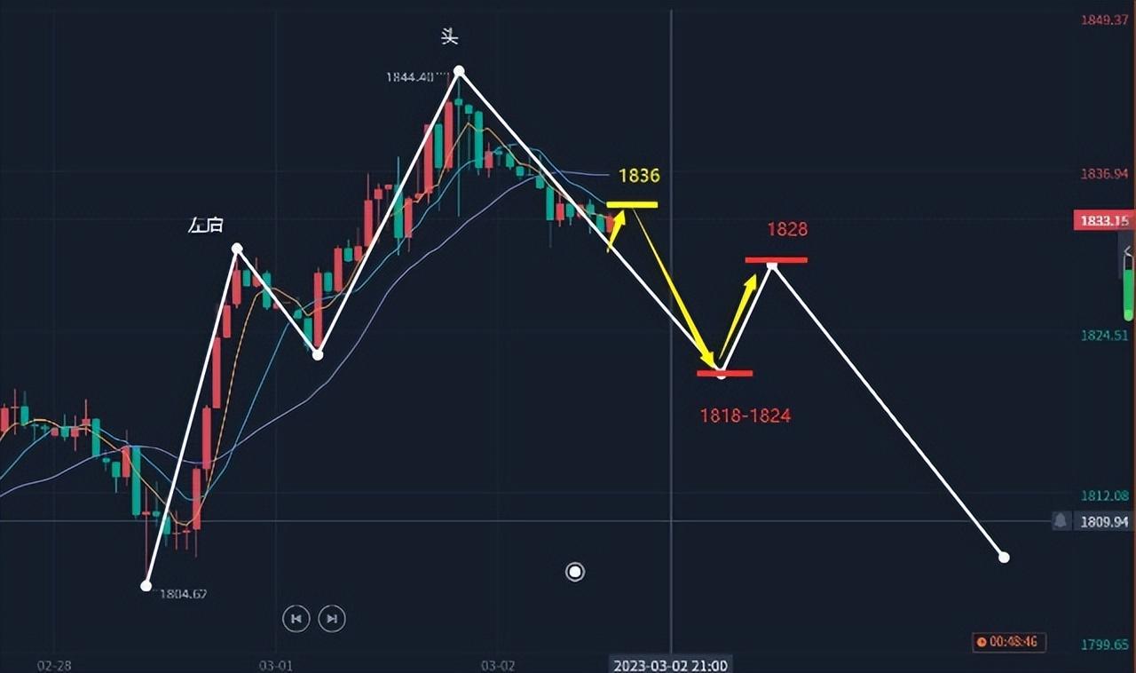 期金价格最新动态，影响因素、走势分析与投资建议