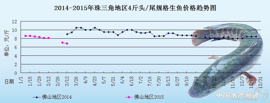 全国最新生鱼价格分析