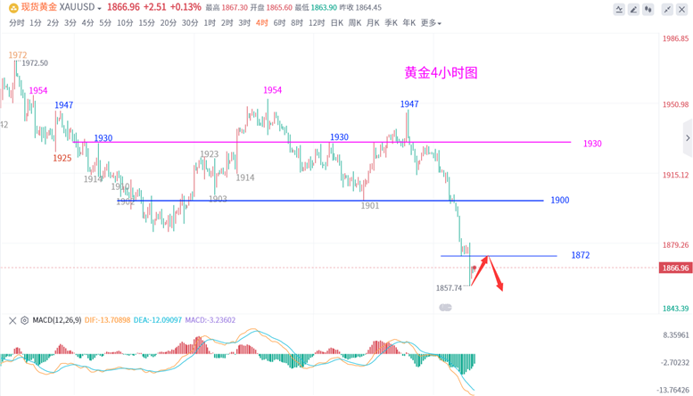 今日昌黎最新皮毛价格——市场走势深度分析