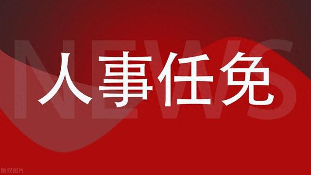 最新中央人事任免动态查询解析