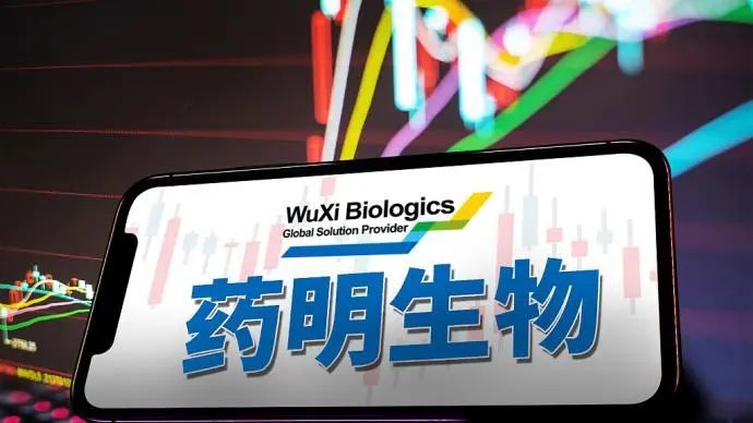 今晚澳门三肖三码开一码】,文明解释解析落实